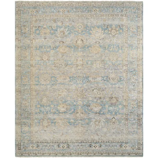 Anatolia ANY-2311 8' x 10' Handmade Rug