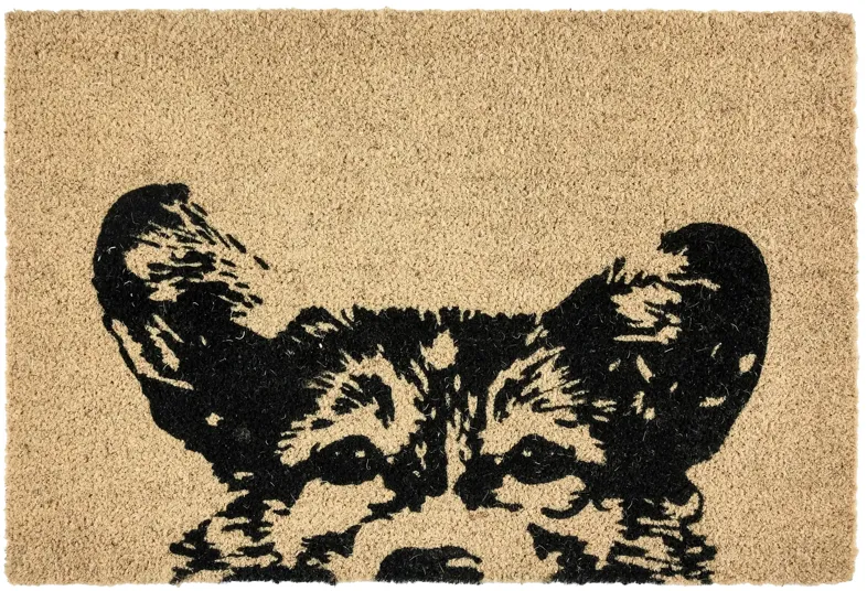 doormat earnest dog black 24x36