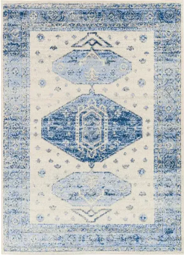 Harput 5'3" x 7'3" Rug