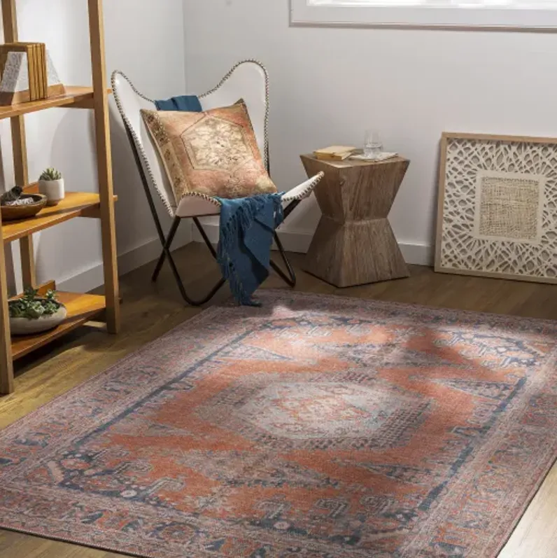 Colin CLN-2306 2'7" x 7'3" Rug