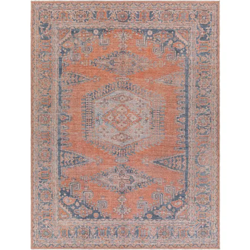 Colin CLN-2306 2'7" x 7'3" Rug