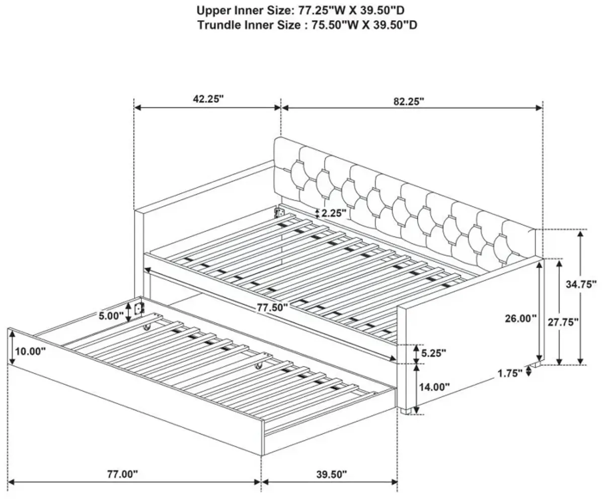 Kendall Upholstered Tufted Twin Daybed with Trundle Black
