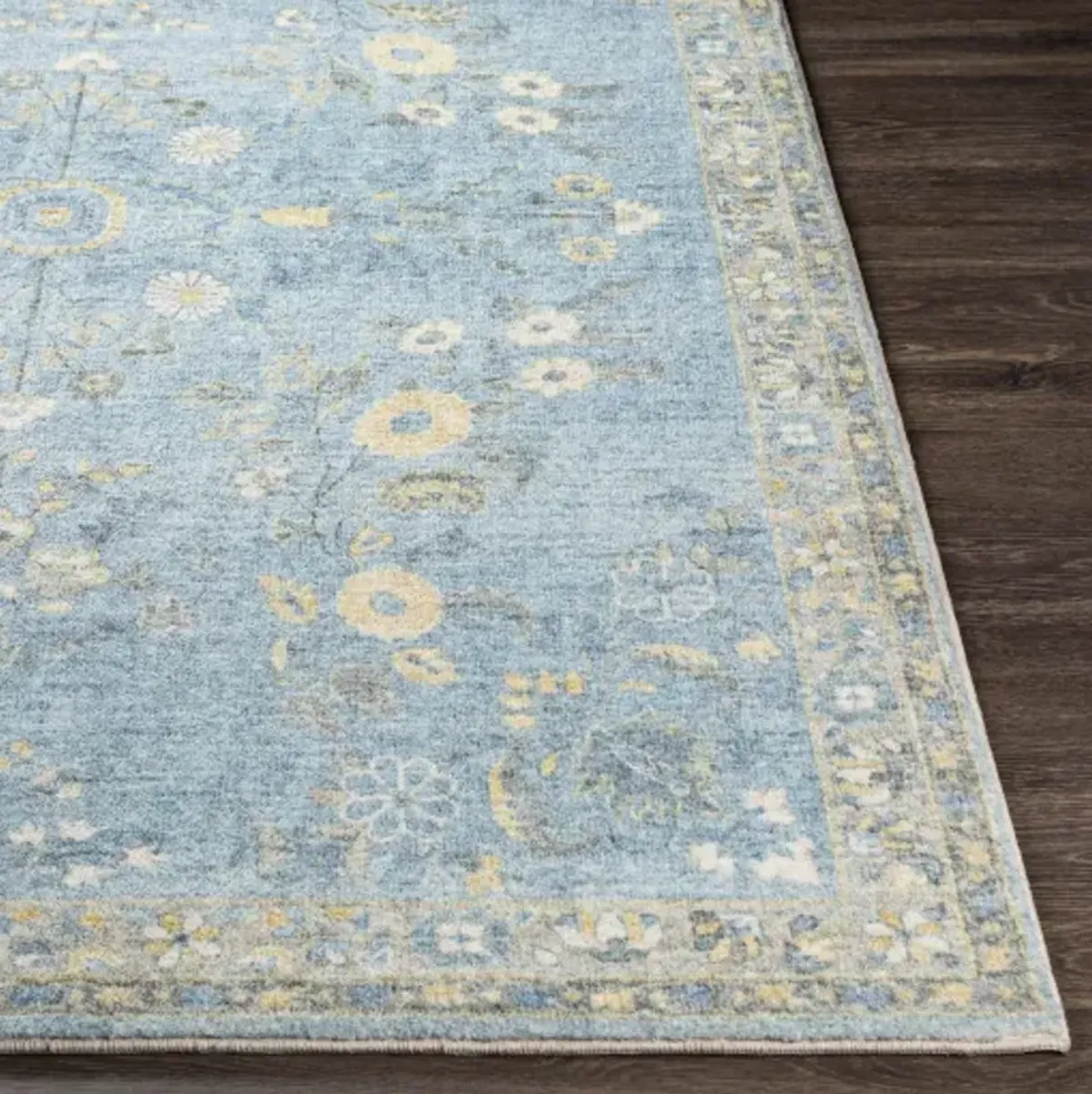 Erin 2'6" x 4' Rug