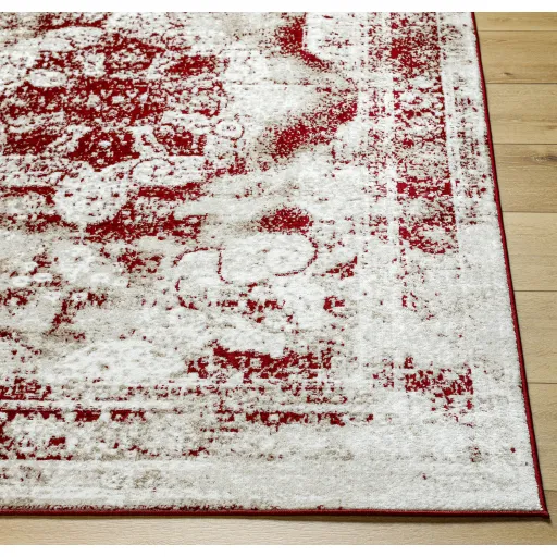 Monte Carlo MNC-2352 8'10" x 12' Machine Woven Rug