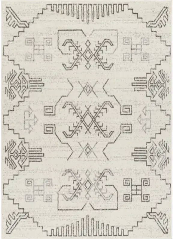 Pisa PSS-2359 7'10" x 10' Machine Woven Rug