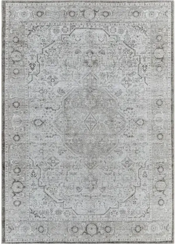 Amelie AML-2368 8'10" x 12' Machine Woven Rug