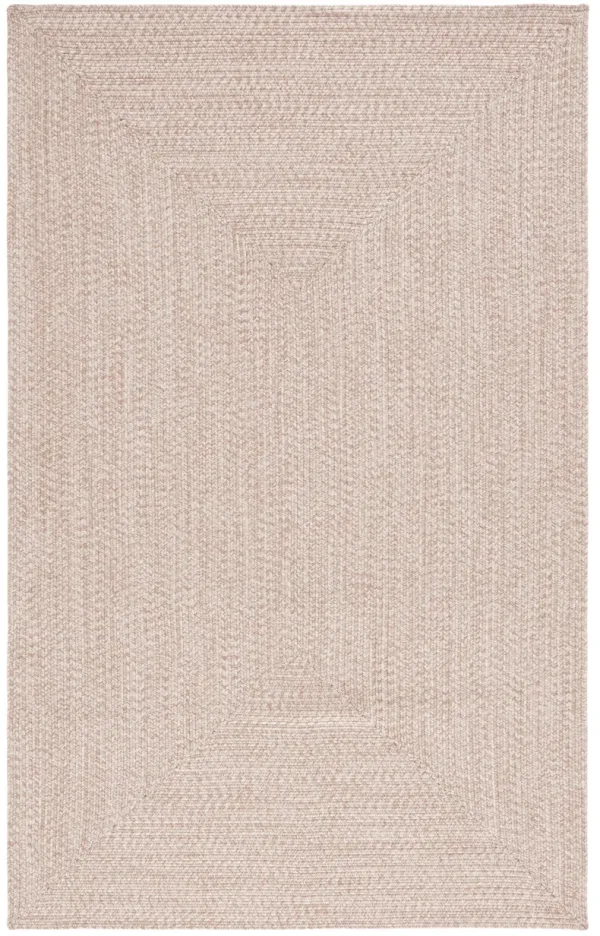 BRAIDED Hand Woven 9' x 12' area rug