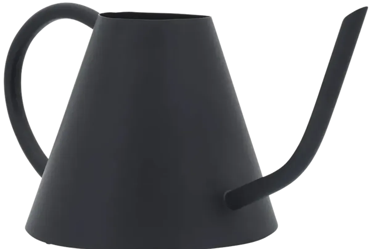 Metal 6"h Watering Can, Black