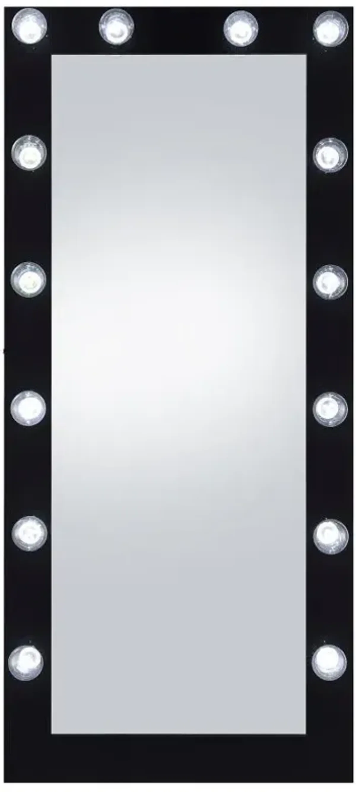 Zayan Full Length Floor Mirror With Lighting Black High Gloss