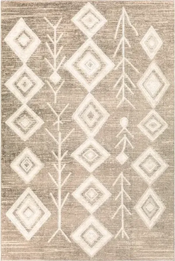 Lavadora 6'7" x 9' Rug