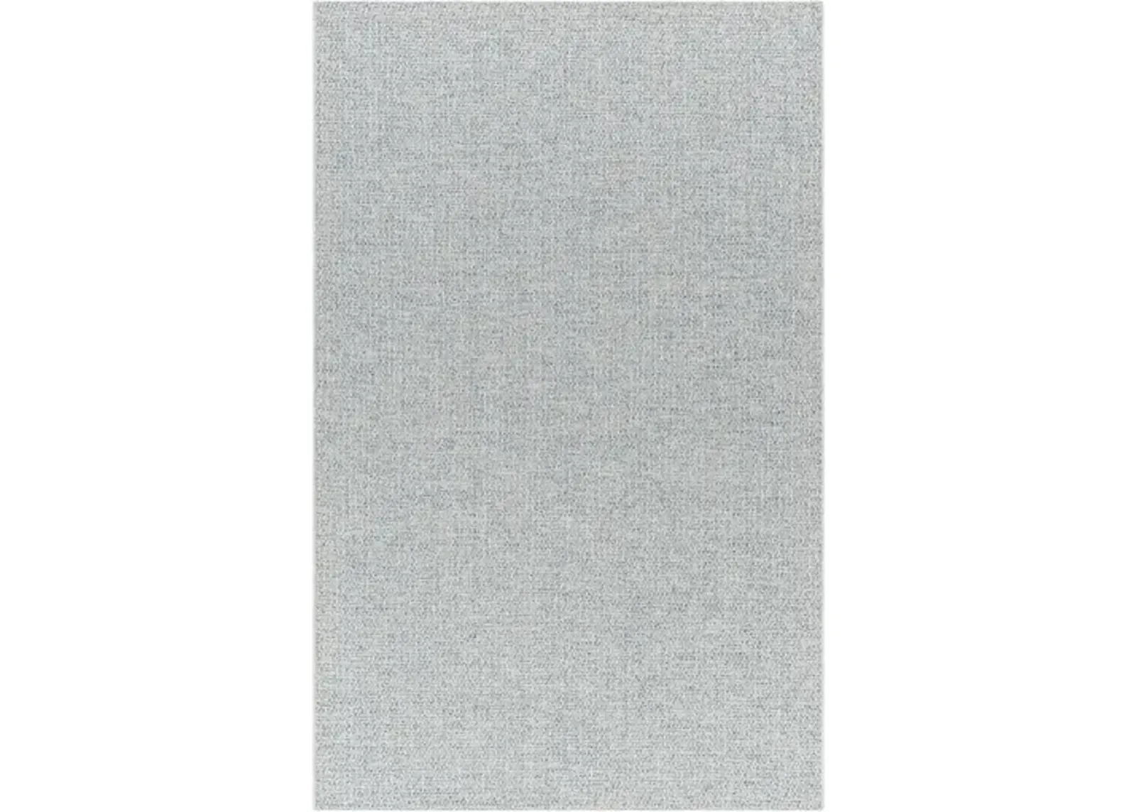 Birdie BORD-2304 3'10" x 5'7" Machine Woven Rug