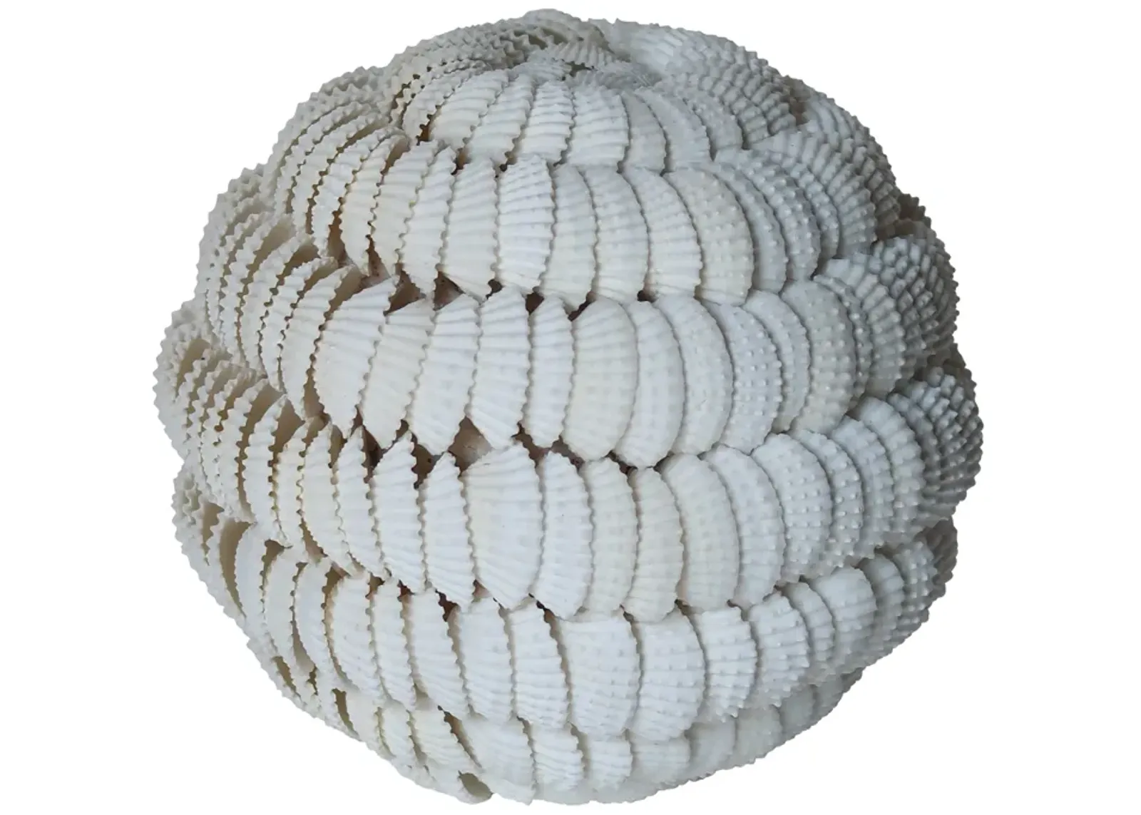 5" Shell Orb, White