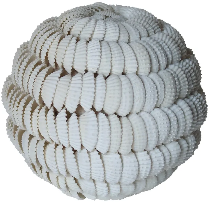 5" Shell Orb, White