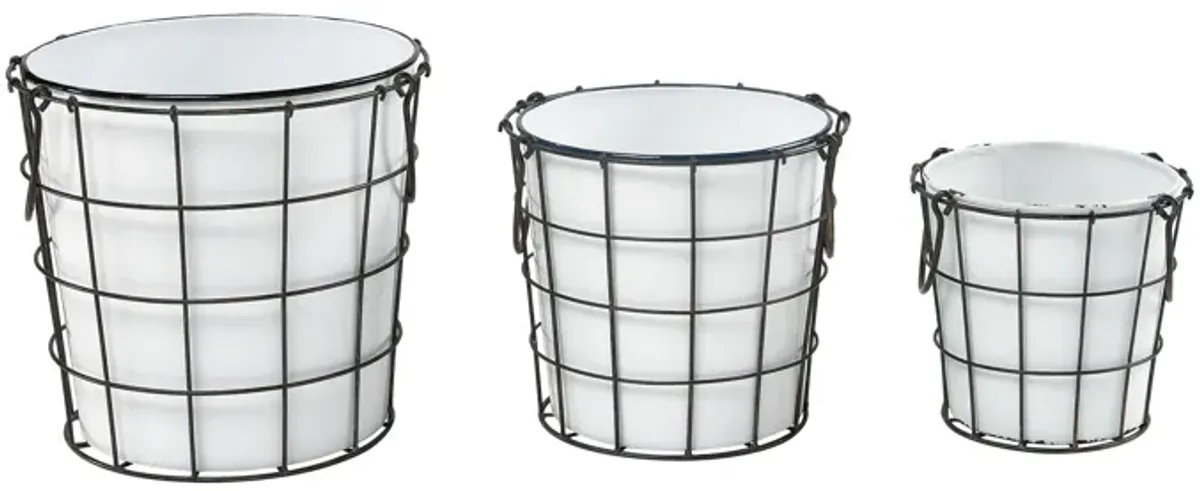 Early Light Bins (Set of 3)