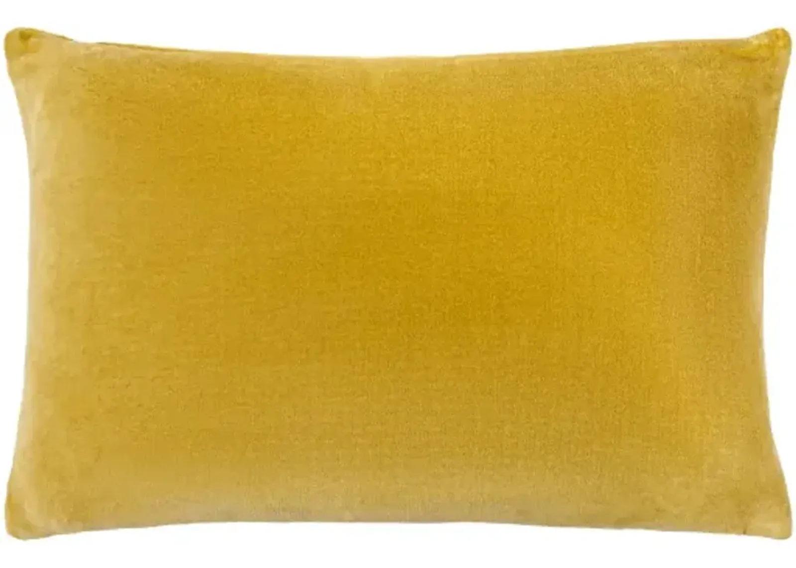 Cotton Velvet CV-062 20"L x 20"W Accent Pillow