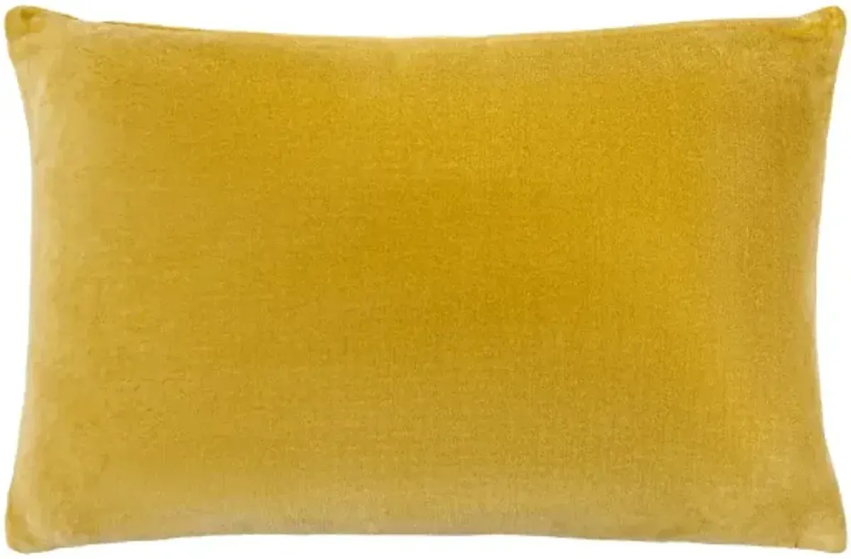 Cotton Velvet CV-062 20"L x 20"W Accent Pillow