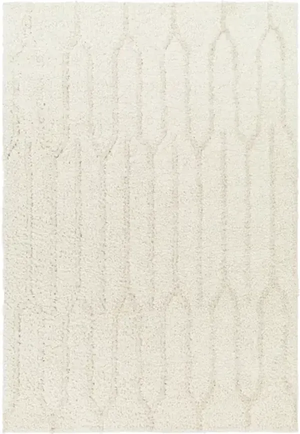 Maryland Shag MSG-2301 7'10" x 10' Machine Woven Rug