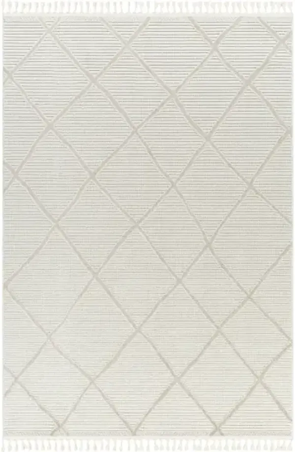 Finland FND-2309 7'10" x 10' Machine Woven Rug