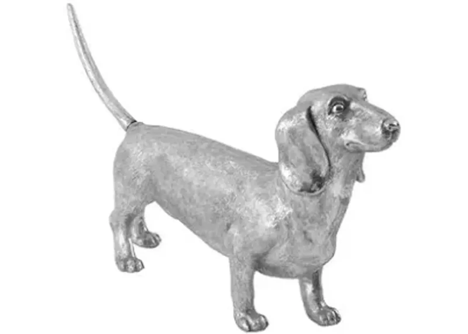 dachshund, silver leaf