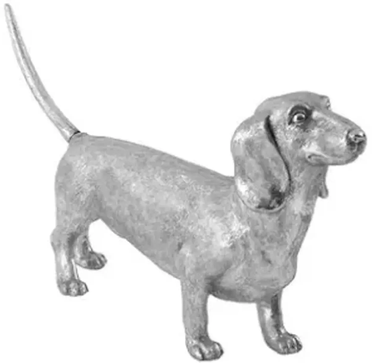 dachshund, silver leaf