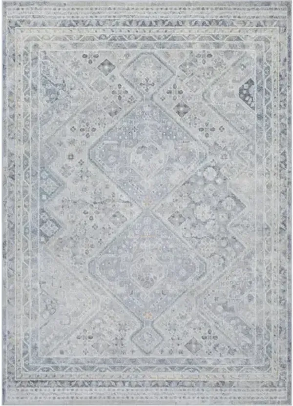 Alpharetta APH-2311 5'3" x 7' Machine Woven Rug