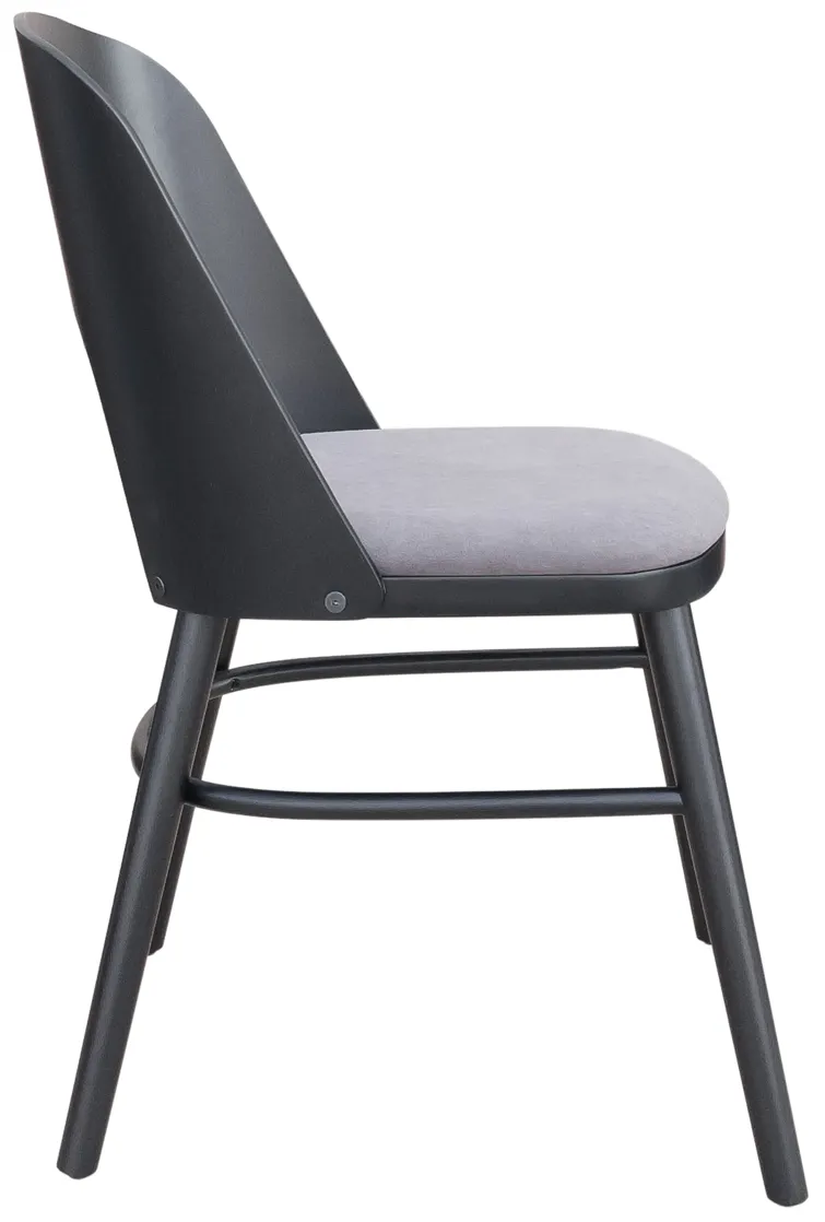 Iago Dining Chair (Set of 2) Gray & Black