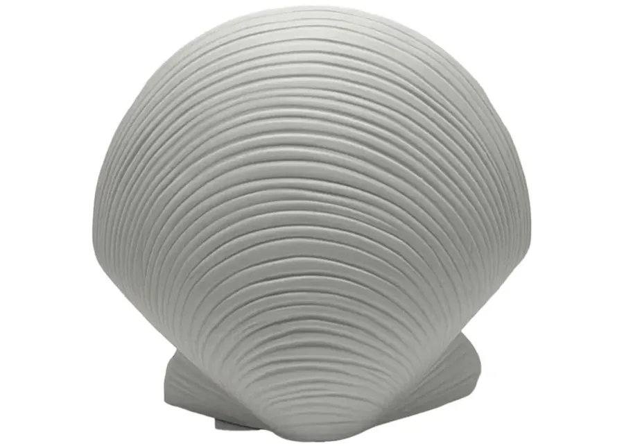 6" Seashell Decor, White