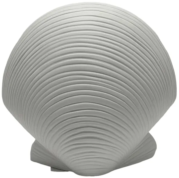 6" Seashell Decor, White