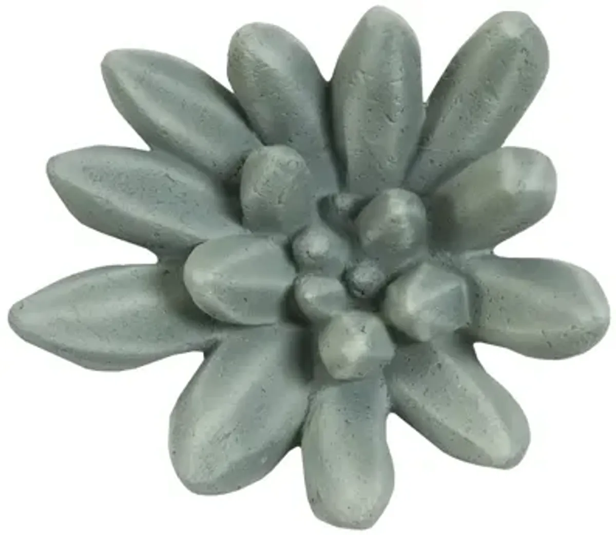 Compactum Succulent Wall Art, Forest