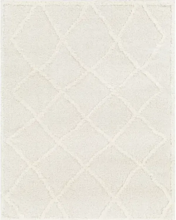 Rodos RDO-2301 7'10" x 10' Machine Woven Rug