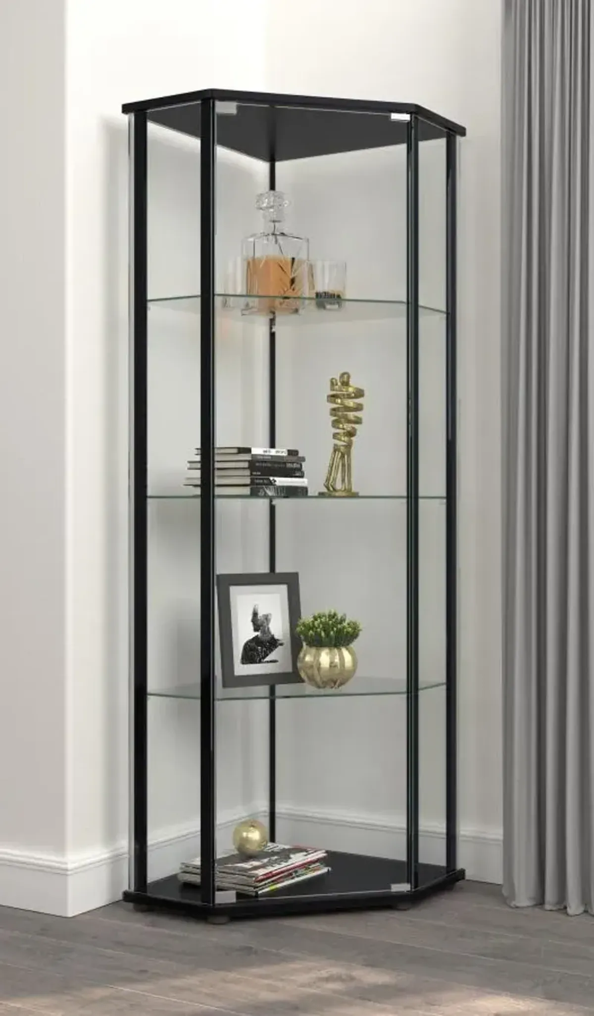 Zenobia Glass Shelf Curio Cabinet Clear and Black