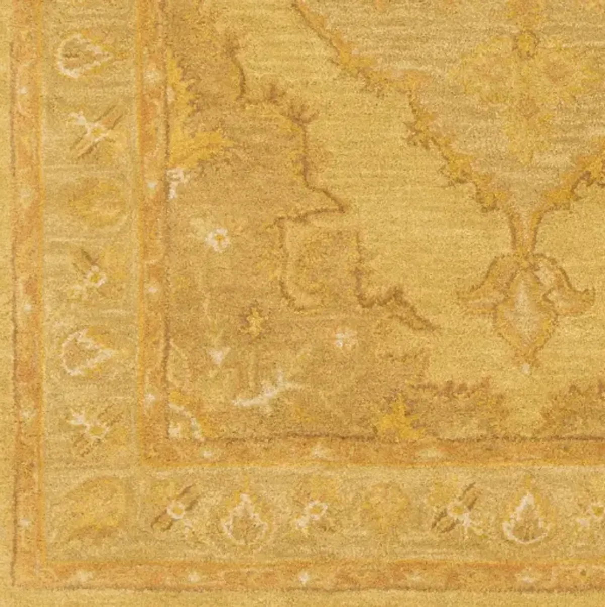 Middleton 4' x 6' Rug