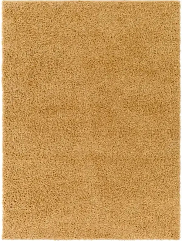 Bliss shag 7'10" x 10' Rug