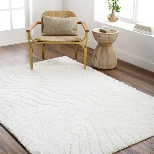 Nomadic NMC-2315 6'7" x 9' Machine Woven Rug