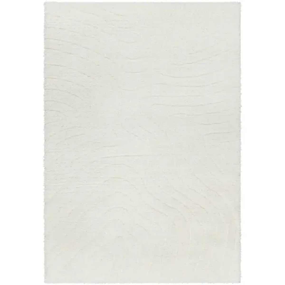 Nomadic NMC-2315 6'7" x 9' Machine Woven Rug