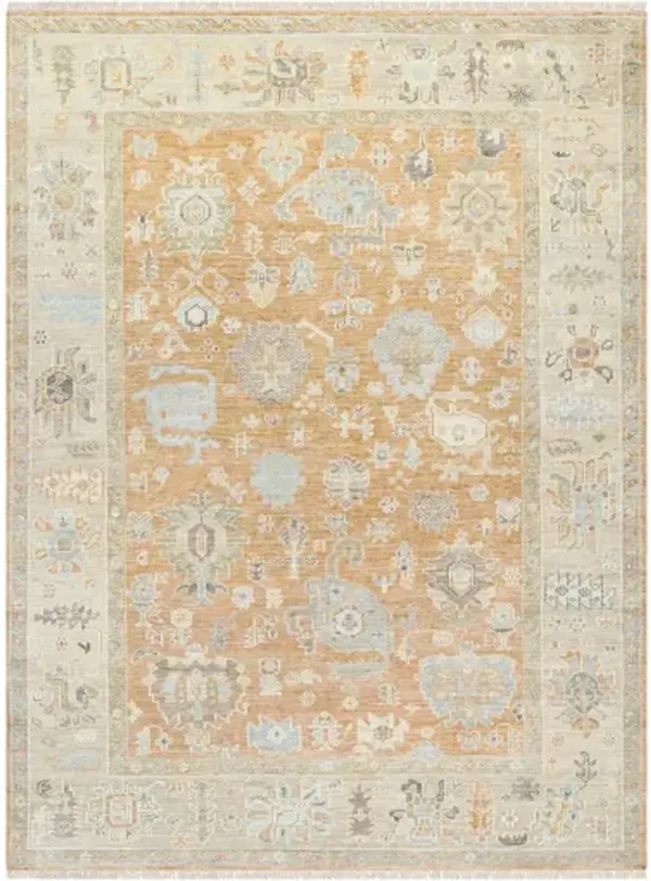 Antalya AAT-2313 6' x 9' Handmade Rug