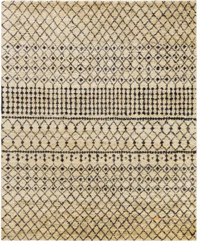 Scarborough SCR-5163 8'10" x 12' Handmade Rug