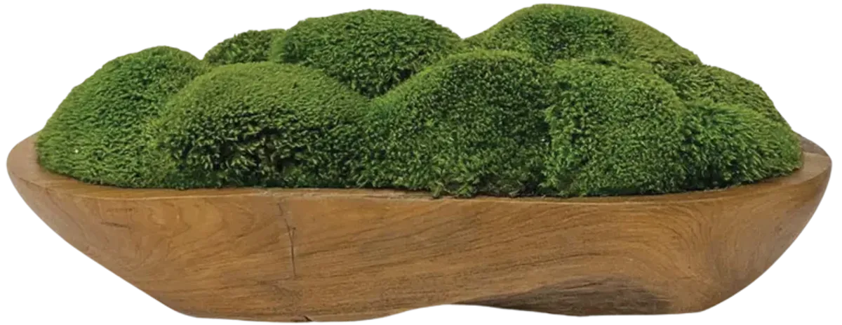 Kinsale Moss Centerpiece