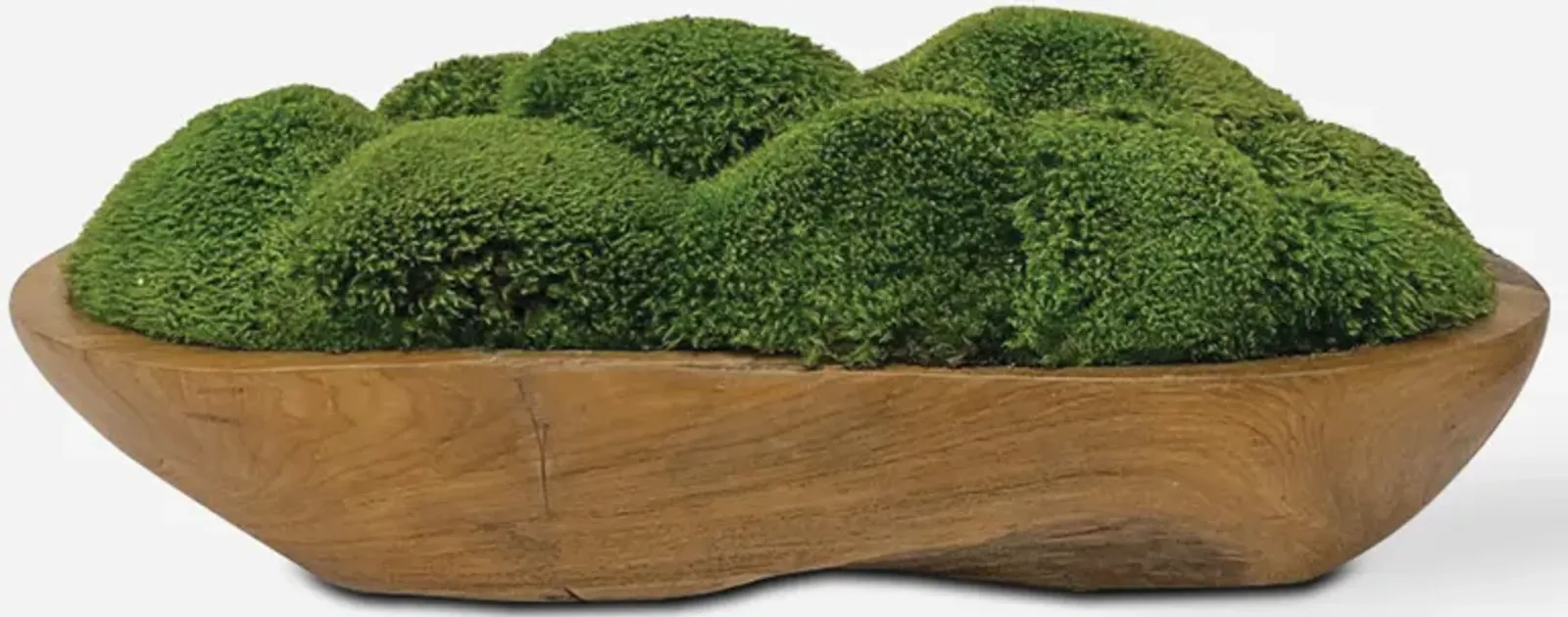 Kinsale Moss Centerpiece