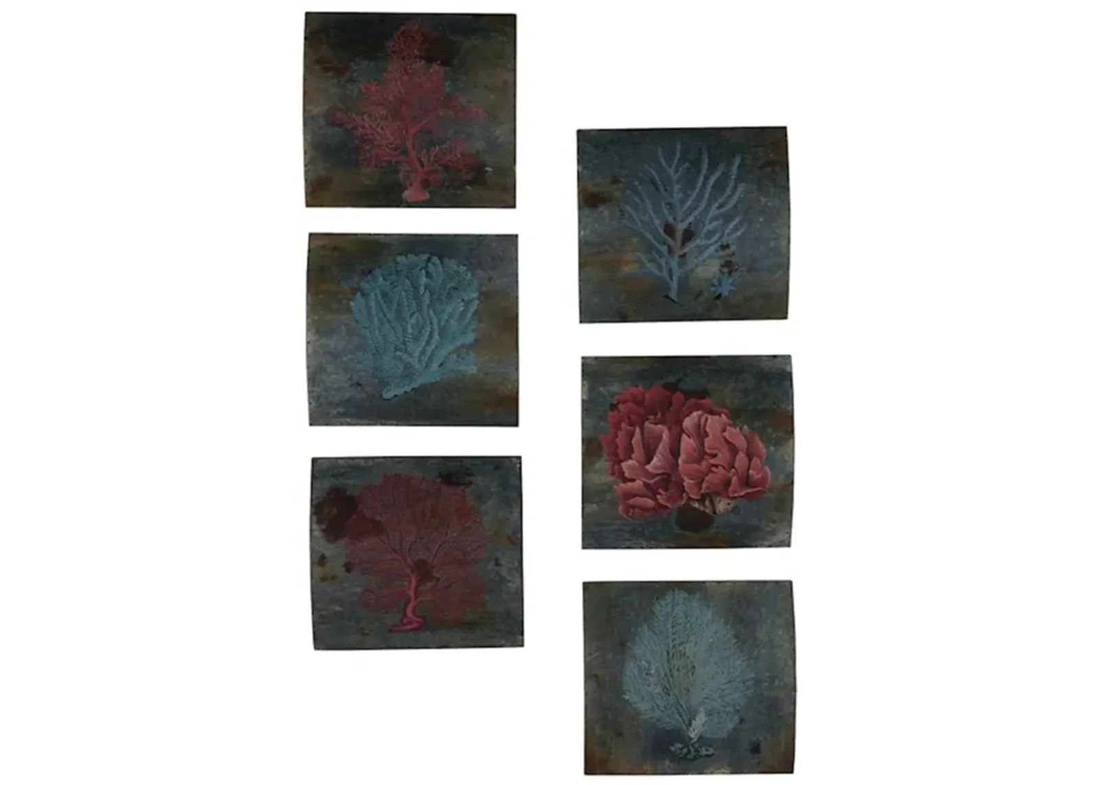 Sea Coral (Set of 6)