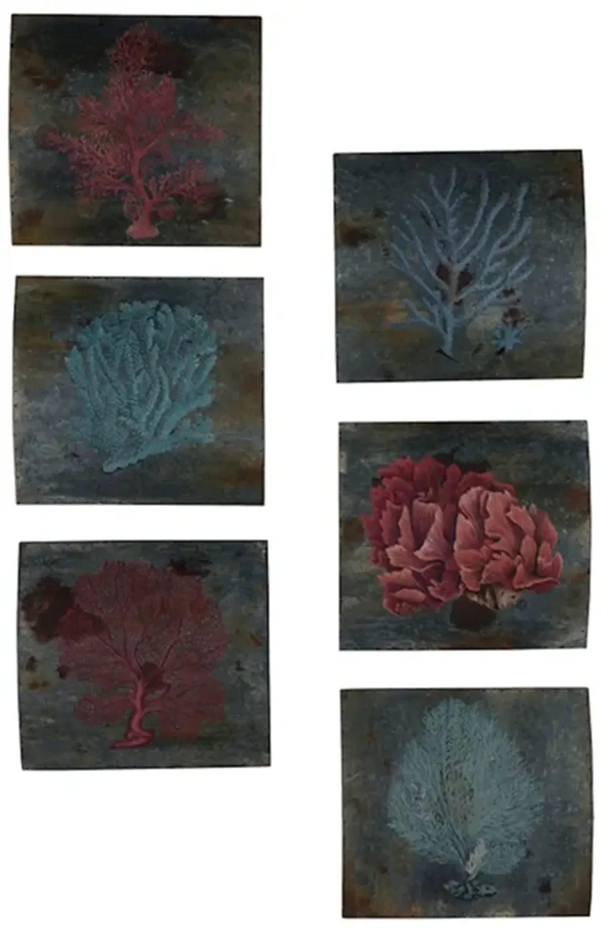 Sea Coral (Set of 6)