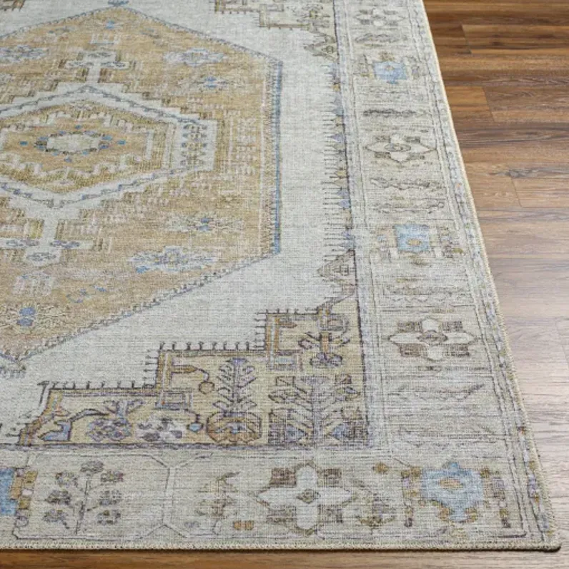 Amelie AML-2369 2'7" x 7'10" Machine Woven Rug