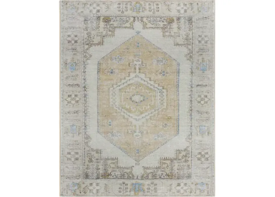 Amelie AML-2369 2'7" x 7'10" Machine Woven Rug