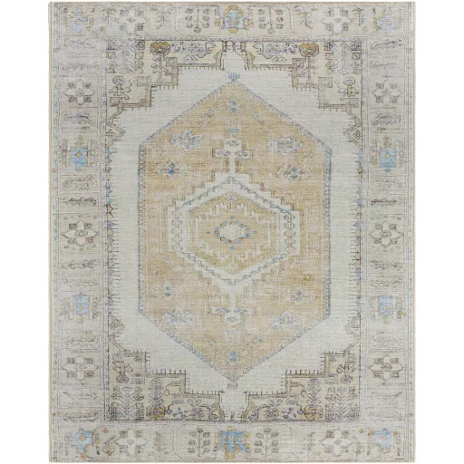 Amelie AML-2369 2'7" x 7'10" Machine Woven Rug