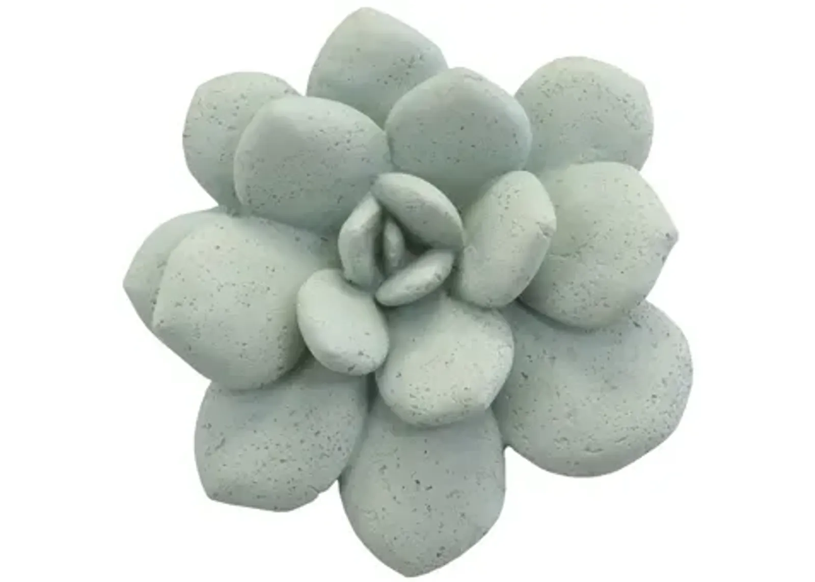 Laui Succulent Wall Art, Sage