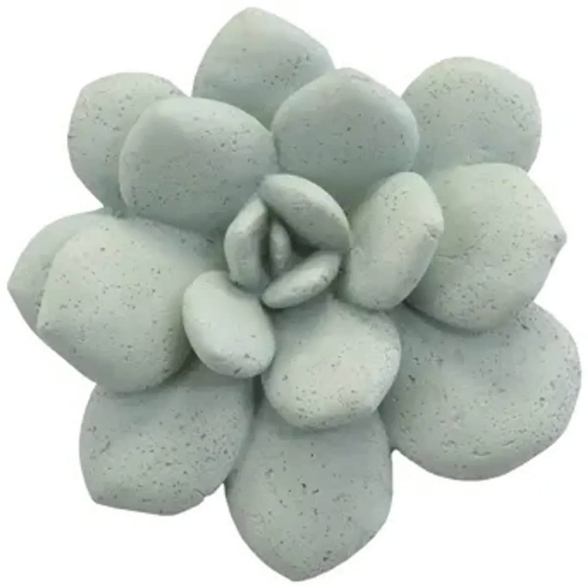 Laui Succulent Wall Art, Sage