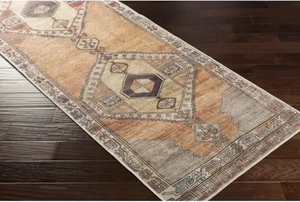 Antiquity AUY-2303 2'7" x 12' Rug