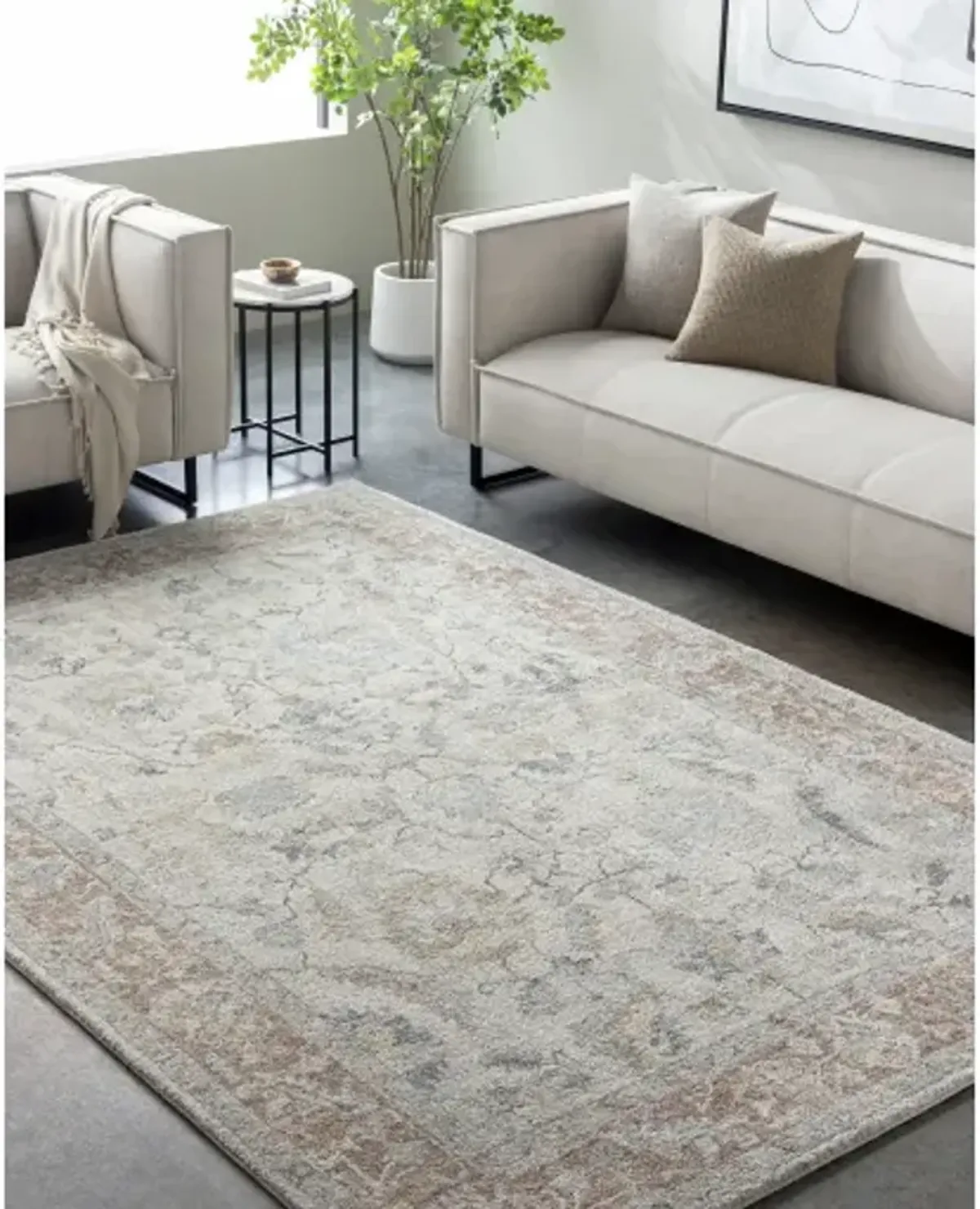 Avellino AVL-2304 12' x 15' Machine Woven Rug