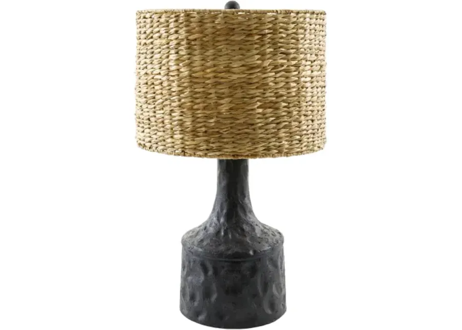 Conway CNW-003 25"H x 15"W x 15"D Accent Table Lamp