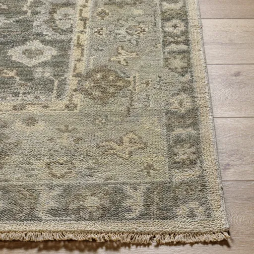 Biscayne BSY-2316 6' x 9' Handmade Rug